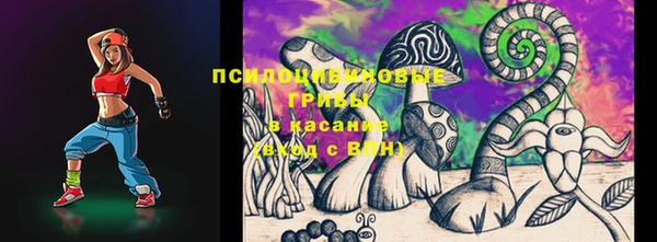 дурь Ладушкин