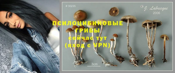 метамфетамин Липки