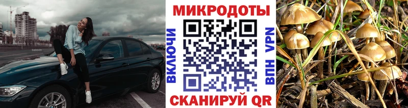 Купить закладки  Сертолово  Галлюциногенные грибы мицелий 